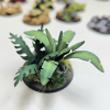 Paint Forge: Jungle Mix Tropikalna Zieleń do Dioram i Makiet